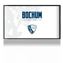 Folien für Spielekonsolen matt