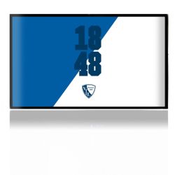 Folien für Spielekonsolen matt