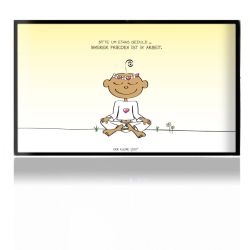 Folien für Spielekonsolen matt