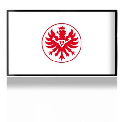 Folien für Spielekonsolen matt