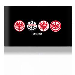 Folien für Spielekonsolen matt