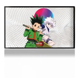 Folien für Spielekonsolen matt