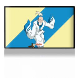 Folien für Spielekonsolen matt