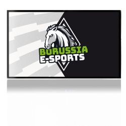 Folien für Spielekonsolen matt