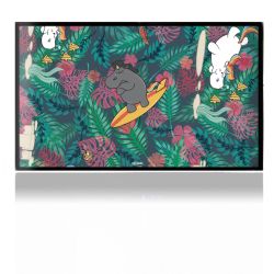 Folien für Spielekonsolen matt