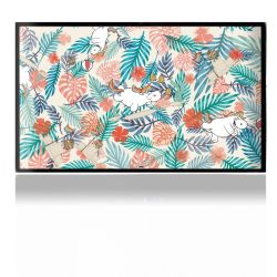 Folien für Spielekonsolen matt