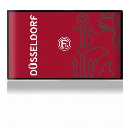 Folien für Spielekonsolen matt