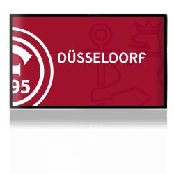 Folien für Spielekonsolen matt