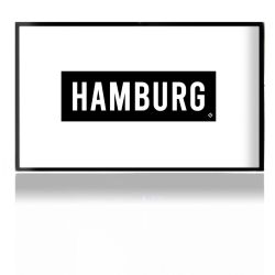 Folien für Spielekonsolen matt