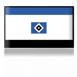 Folien für Spielekonsolen matt