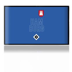 Folien für Spielekonsolen matt