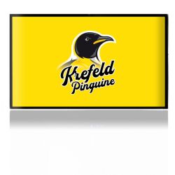 Folien für Spielekonsolen matt