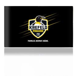 Folien für Spielekonsolen matt