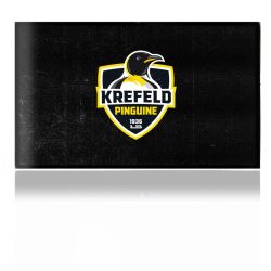 Folien für Spielekonsolen matt