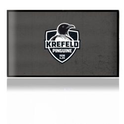 Folien für Spielekonsolen matt