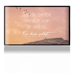 Folien für Spielekonsolen matt