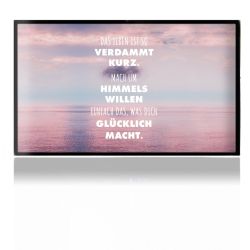 Folien für Spielekonsolen matt