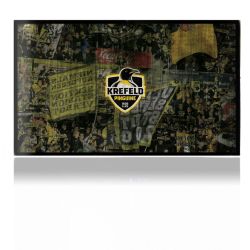 Folien für Spielekonsolen matt