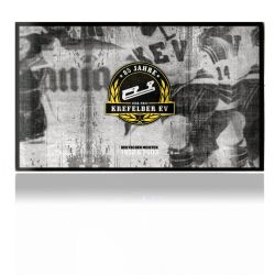 Folien für Spielekonsolen matt