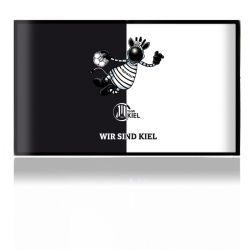 Folien für Spielekonsolen matt