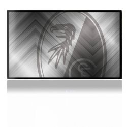 Folien für Spielekonsolen matt