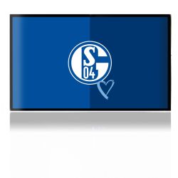 Folien für Spielekonsolen matt