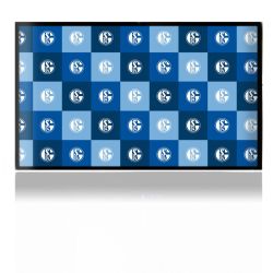 Folien für Spielekonsolen matt