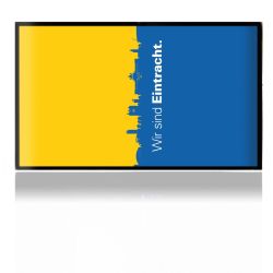 Folien für Spielekonsolen matt