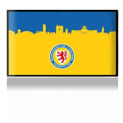 Folien für Spielekonsolen matt