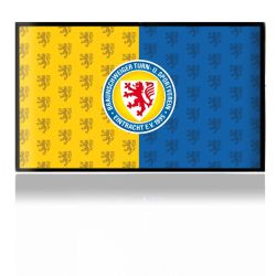 Folien für Spielekonsolen matt