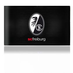 Folien für Spielekonsolen matt