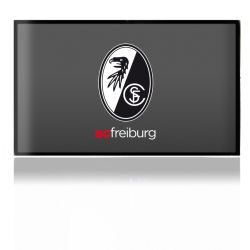 Folien für Spielekonsolen matt