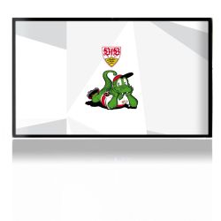 Folien für Spielekonsolen matt