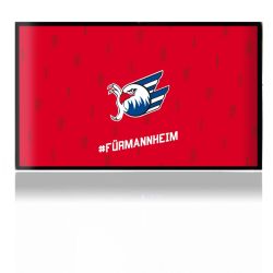 Folien für Spielekonsolen matt