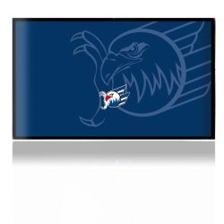 Folien für Spielekonsolen matt