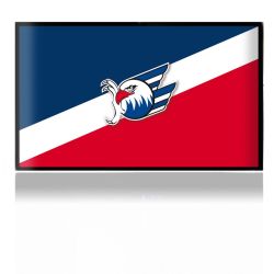 Folien für Spielekonsolen matt