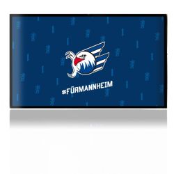 Folien für Spielekonsolen matt