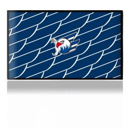 Folien für Spielekonsolen matt