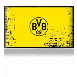 Folien für Spielekonsolen matt