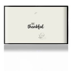 Folien für Spielekonsolen matt