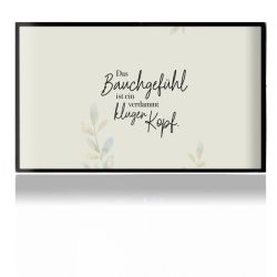 Folien für Spielekonsolen matt