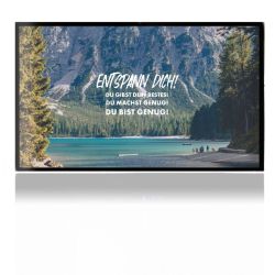 Folien für Spielekonsolen matt