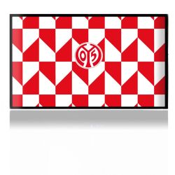 Folien für Spielekonsolen matt