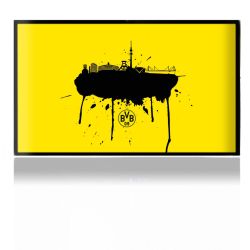 Folien für Spielekonsolen matt