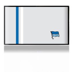 Folien für Spielekonsolen matt