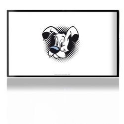 Folien für Spielekonsolen matt