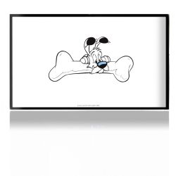 Folien für Spielekonsolen matt