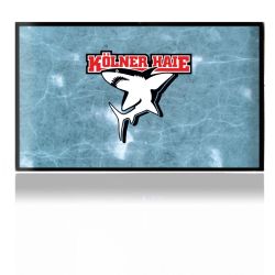 Folien für Spielekonsolen matt