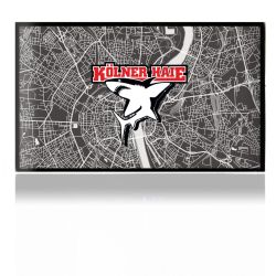 Folien für Spielekonsolen matt