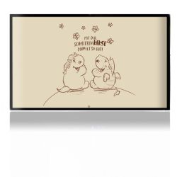 Folien für Spielekonsolen matt